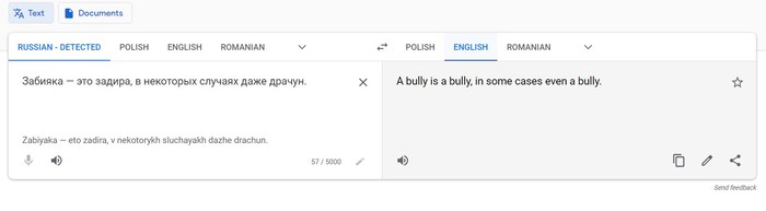        ,  ,  , Google Translate, 