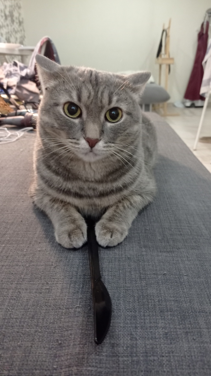 ����� �� ���� �� ���� ����� ������ ���� ����� :)� �� � � ����� :)