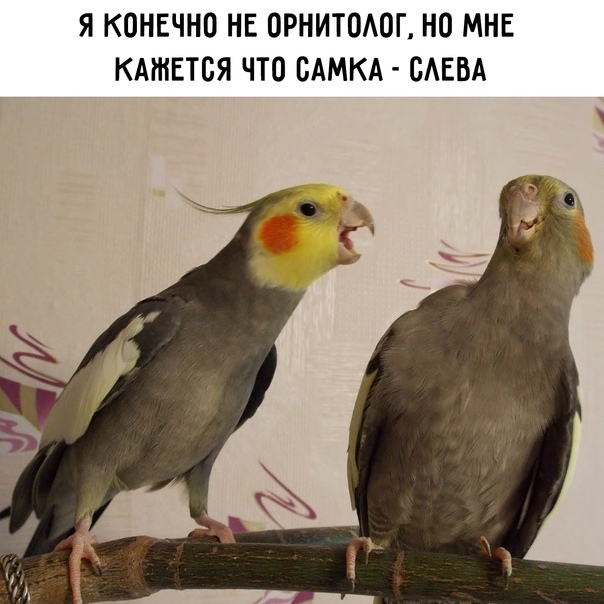 1625251232193438496.jpg