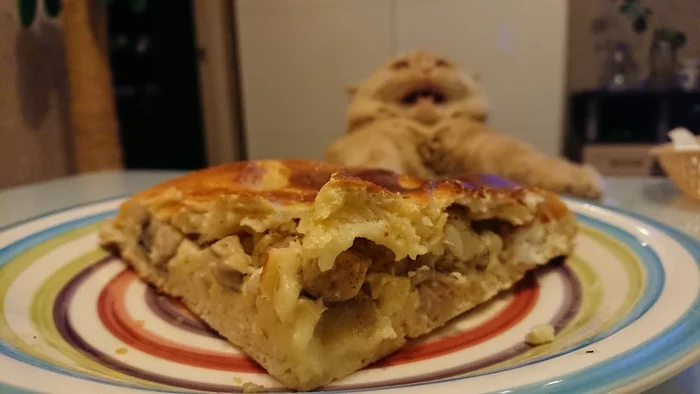 Пирог с зубаткой - Пирог, Кот, Моё