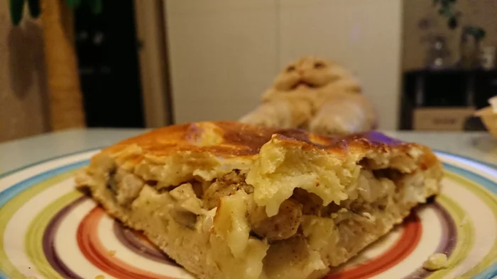 Пирог с зубаткой - Пирог, Кот, Моё