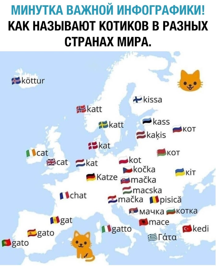 ���� �� ����� �����������)