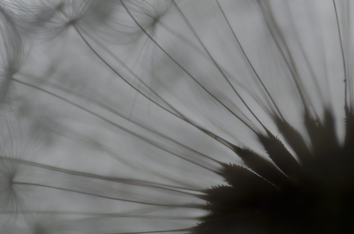 ������� �����