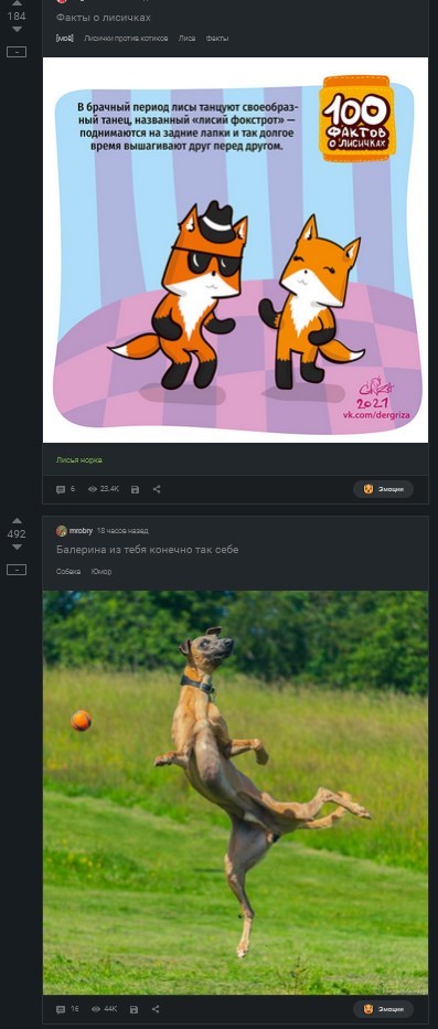 ������ "����� �����" ����� ����������� ����������