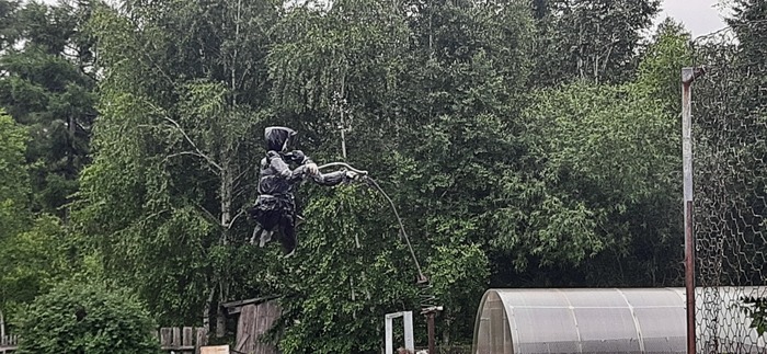 ������ ������