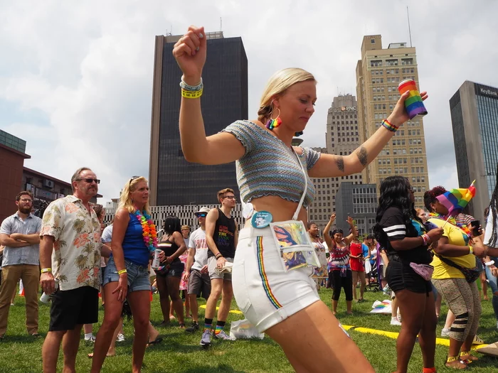 Reply to the post “Gay patriotism in the comments. Screenshot - My, Screenshot, Gays, USA, Gay Pride, LGBT, Reply to post, Longpost