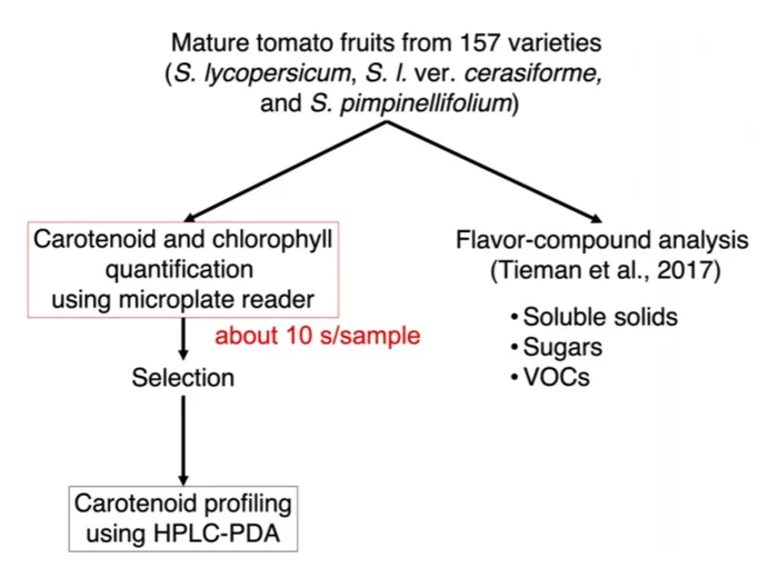 Цвет и вкус: пигменты влияют на формирование вкуса томатов Перевод, Ботаника, Биология, Микробиология, Овощи, Помидоры, Длиннопост