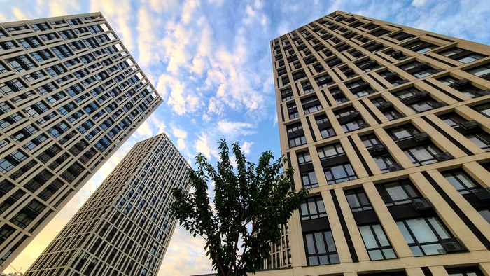 ����� �����)