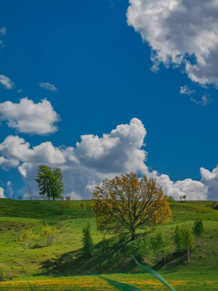 Chuvashia. - My, Chuvashia, Mobile photography, Nature, Russia, Clouds, Tree