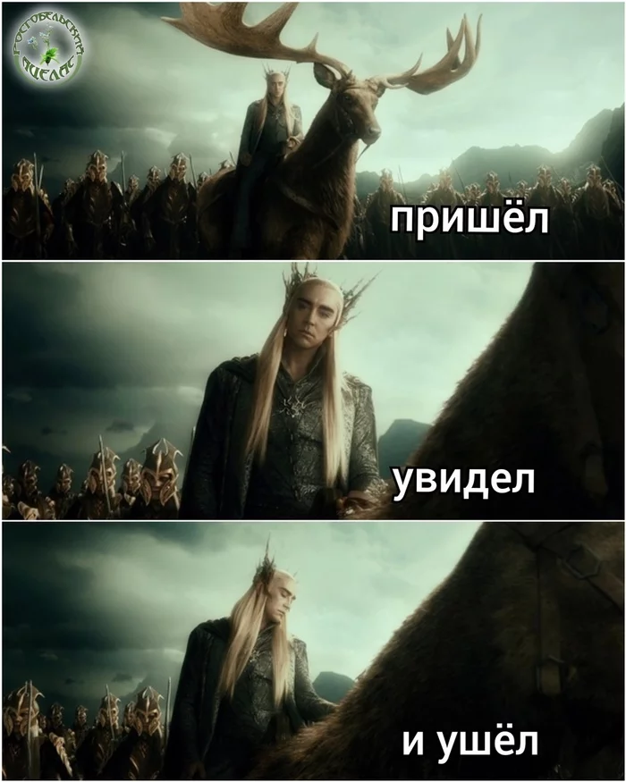 Where was Thranduil when Erebor fell? - My, Memes, Humor, The hobbit, Thranduil, Tolkien, Tolkien's Legendarium