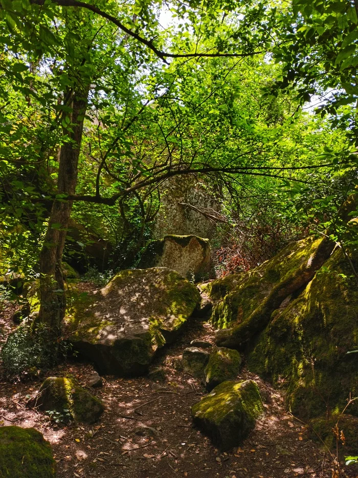 Small chaos. Vorontsovsky park. Alupka - My, Crimea, The photo, Alupka