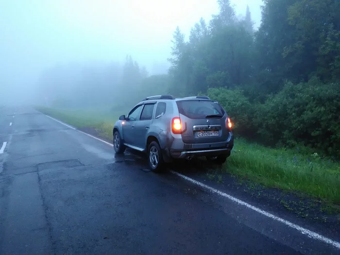 Instinct - Auto, Fog, Road, Roadside, My