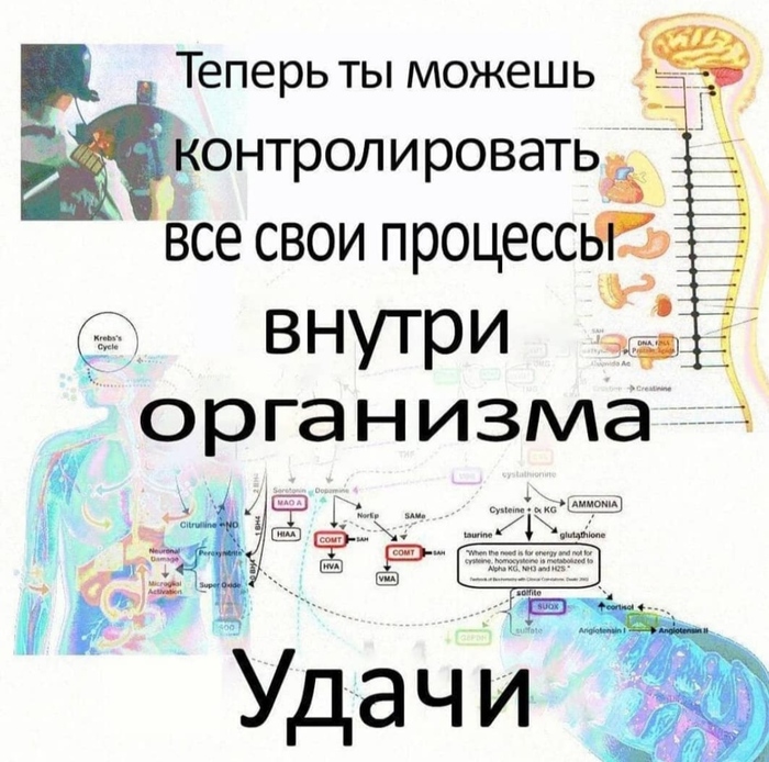    ,   .       