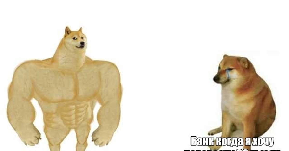 Сильная собака мем. Собака с мышцами Мем. Собака Мем. Качок доге. Собака качок Мем.