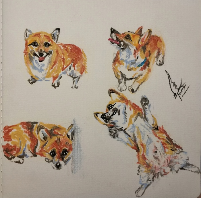 ��� ������� ������� �����������