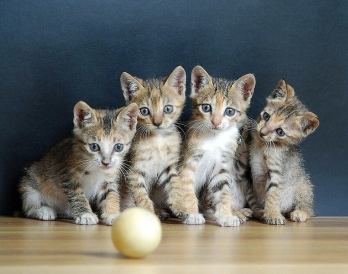 ����� ����� �� ������