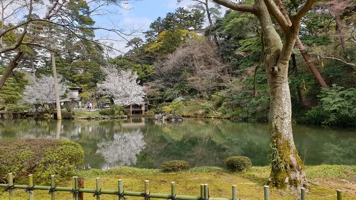 The answer to the post “But it was built and planted a long time ago!” - My, Japan, Garden, Town, Prefecture, East, Asia, Reply to post, Longpost