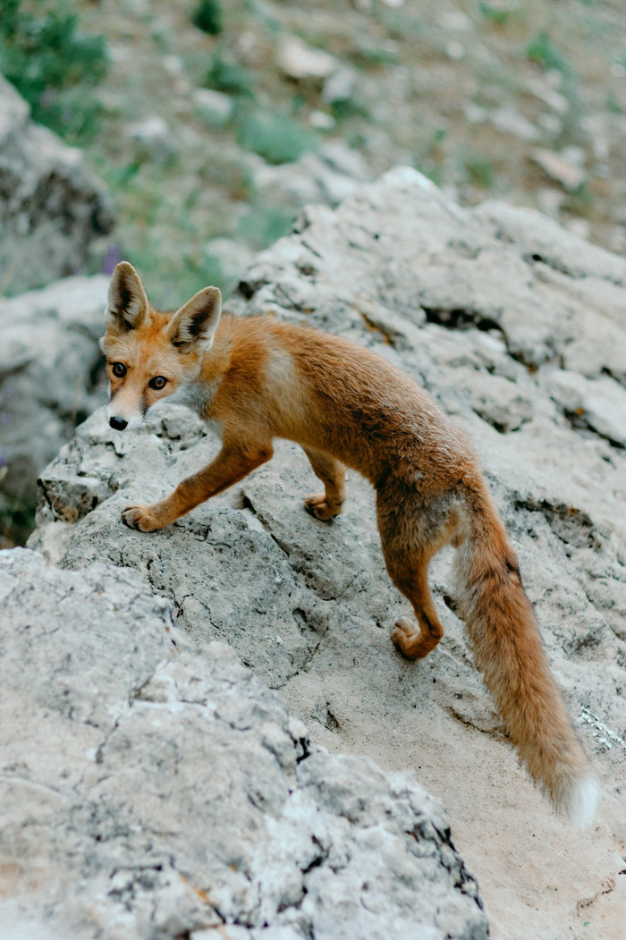 ������������ ������ ����