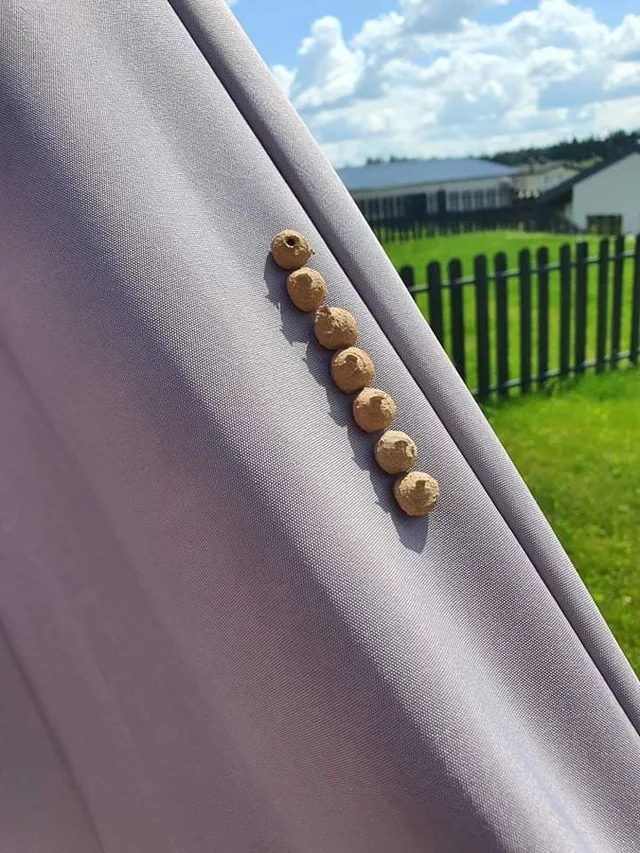 Что это за штука - 131 Перевел сам, Reddit, WhatIsThisThing, Длиннопост Что это за штука - 131 Перевел сам, Reddit, WhatIsThisThing, Длиннопост