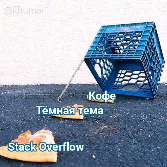 Как поймать программиста