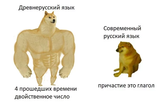 Упрощается ли русский язык? Лингвистика, Занудная лингвистика, Русский язык, Древнерусский язык, Праиндоевропейский язык, Длиннопост, Doge