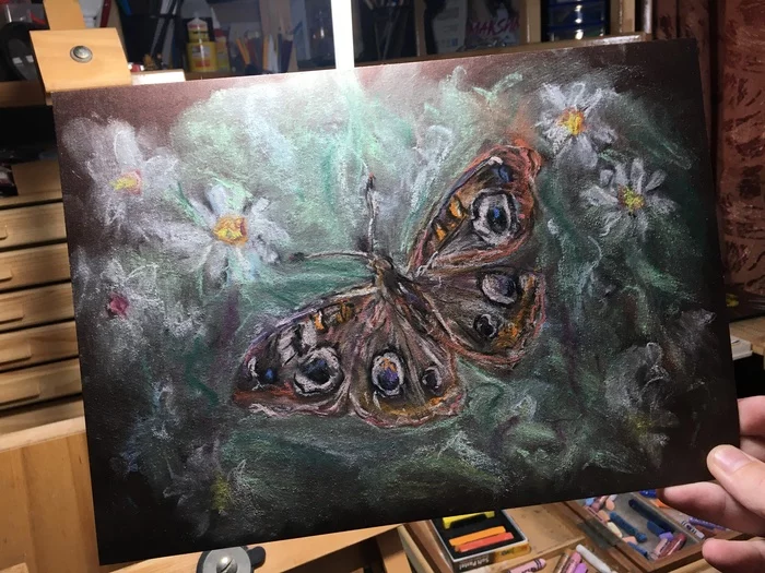 Asked to draw a butterfly - My, Pencil drawing, Pastel, Flowers, Chamomile, Art, Butterfly, Longpost