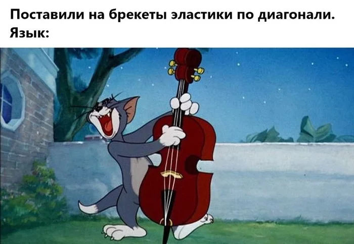 No rest for language - My, Braces, Teeth, Contrabass, Tom and Jerry, Language