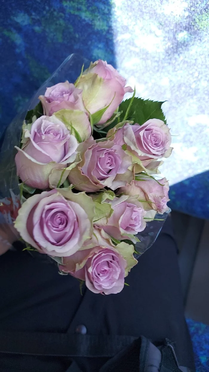 Что в Дании дешевле, чем в России? Дания, Интересное, Иммиграция, Путешествия, Длиннопост