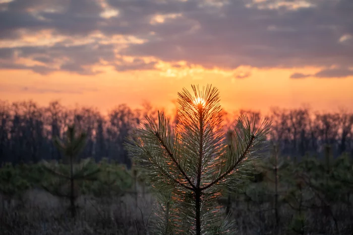 Sunset - My, Sunset, The photo, Landscape