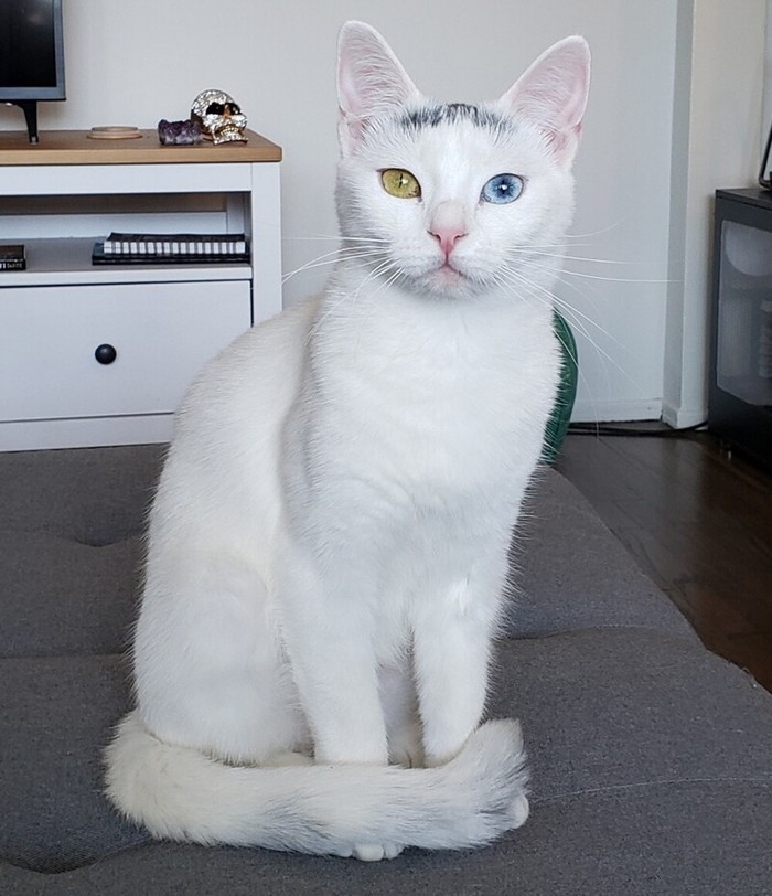 Эти глаза напротив