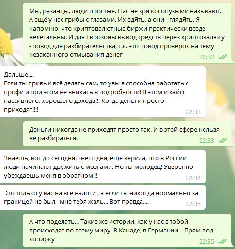 Fraudsters. Beautiful, realistic, tasteful. Part two - My, Fraud, Internet Scammers, Divorce for money, Easy Money, Safety, Longpost, Negative, Screenshot, Correspondence