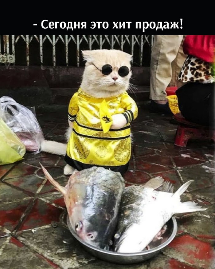    !  , , 