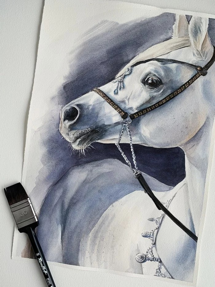Horse - My, Watercolor, Painting, Horses, Drawing