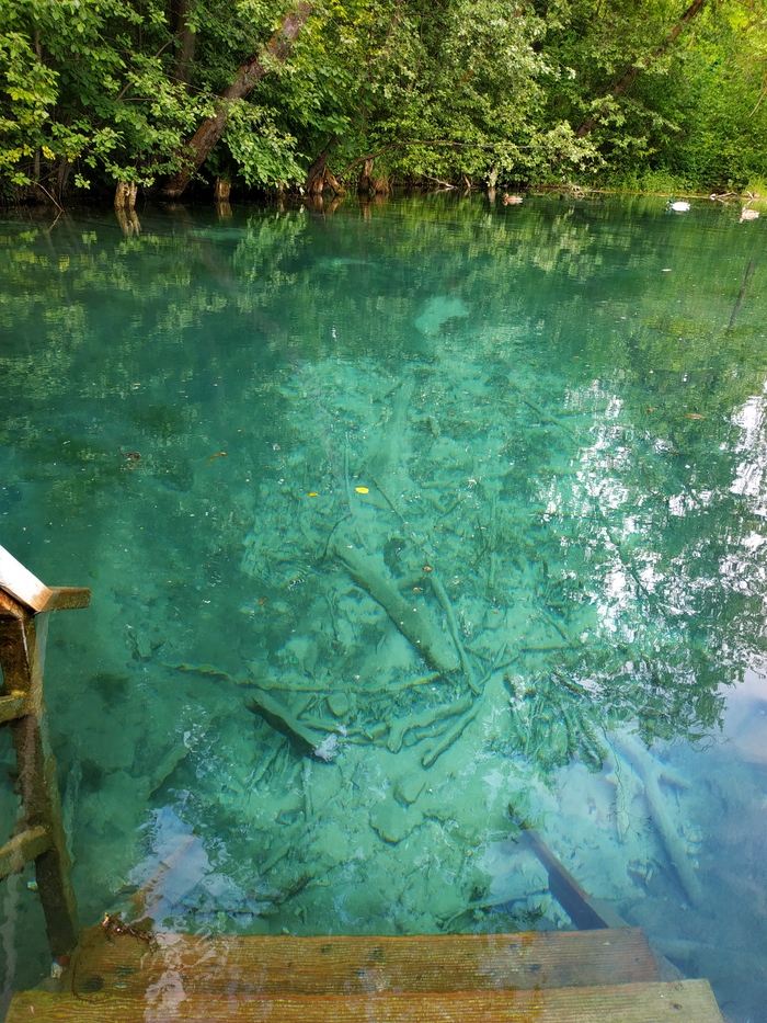 Лига Тупых ты где?