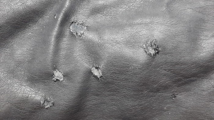 �������� � ��������