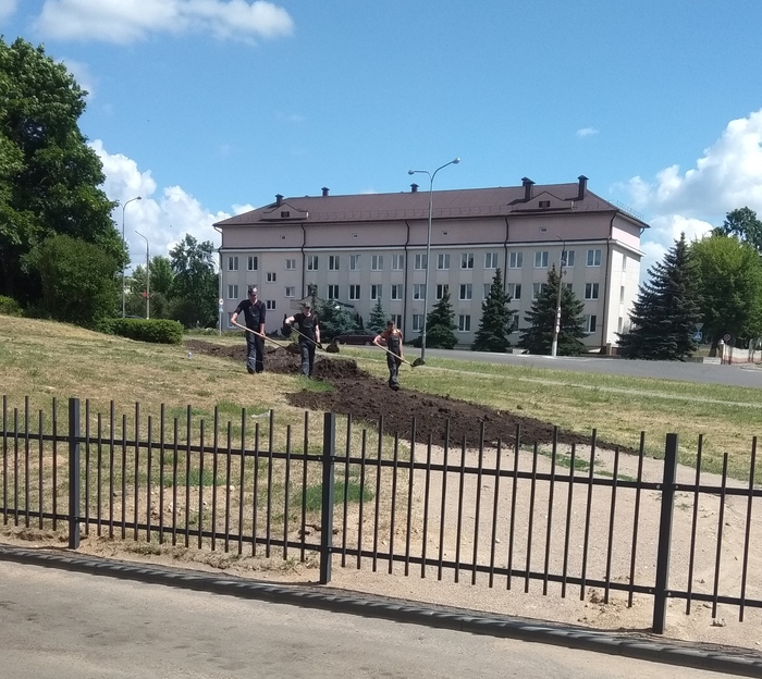 Жираф большой, ему видней...