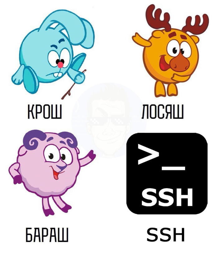 -  IT , , , , , Ssh, 