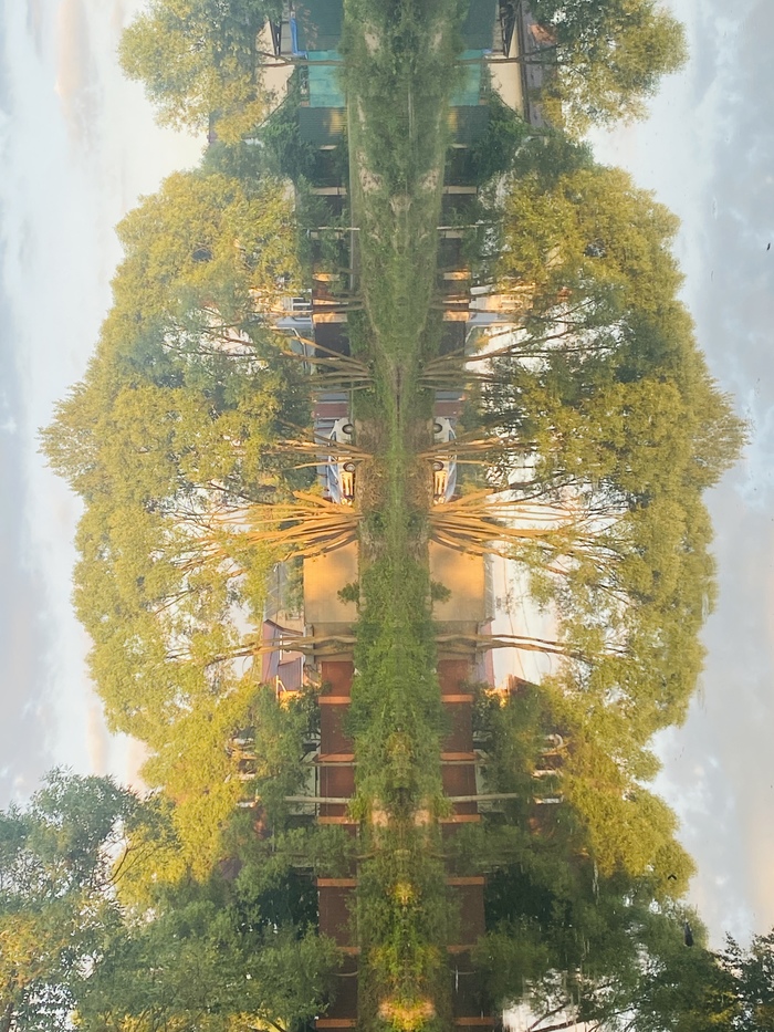 ������������ ������