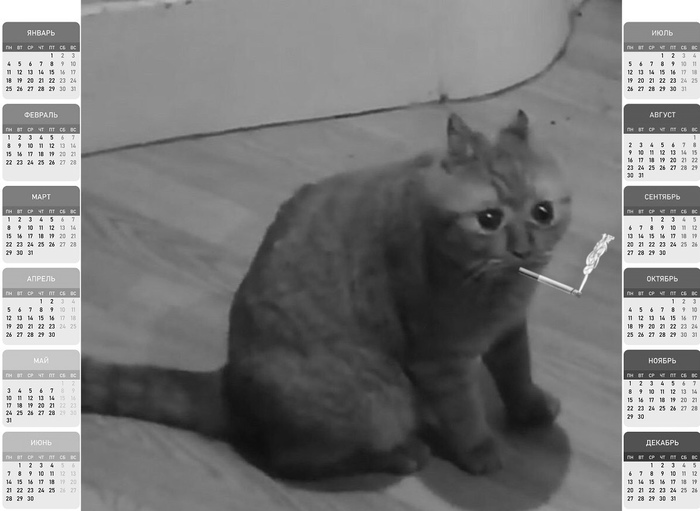 То что способно вогнать в ужас любого жителя России