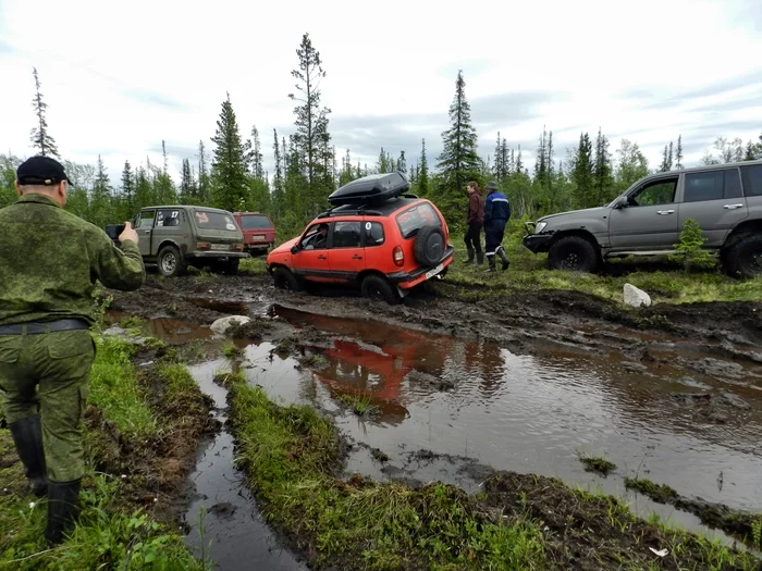 Trophy route to the nameless lake. - My, Chevrolet niva, Niva, Off road, 4x4, Toyota, Kia, Offroad, Swamp, , Toyota Land Cruiser, Jeep, Cherokee, Route, Video, Longpost