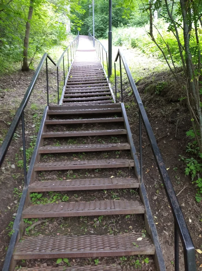 Ah... My sworn enemy... Stairs - My, Stairs, Tomsk pisanitsa, Nature, Longpost