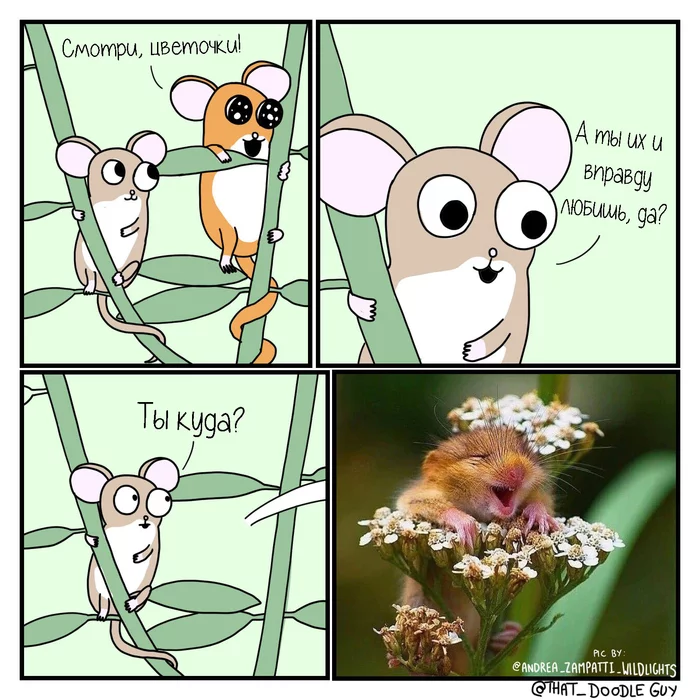 Flowers! - Comics, Mouse, Flowers, That_doodleguy