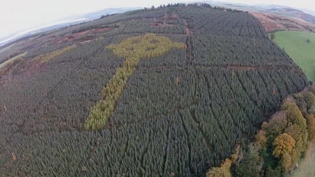 living celtic cross - Nature, People, Interesting