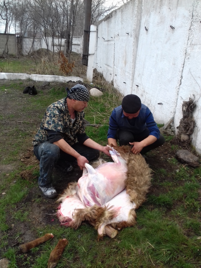 Тандыр часть первая Тандыр, Лепешки, Длиннопост, Еда