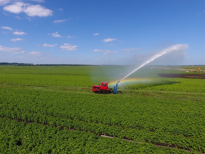 Маленький красный трактор