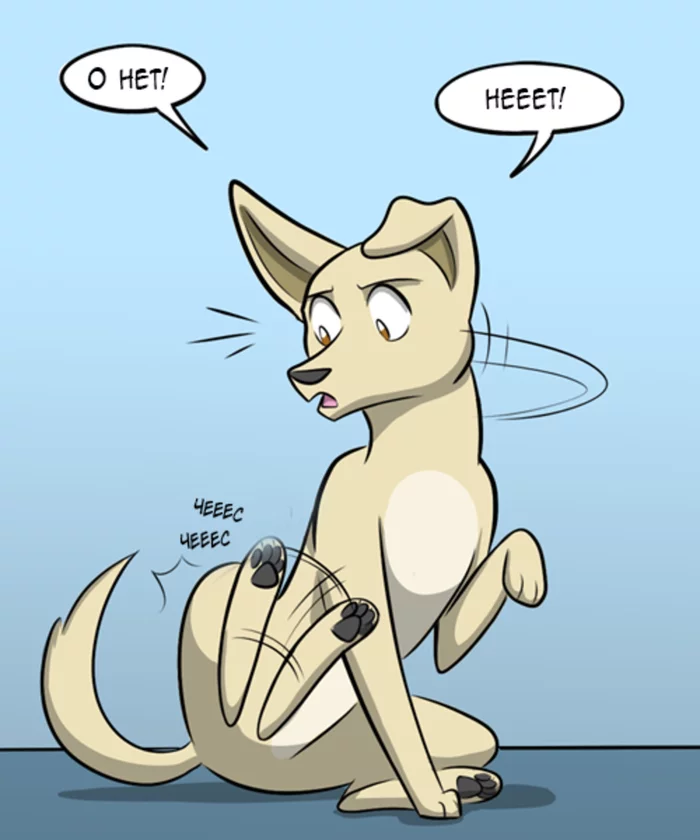 Блохи Комиксы, Гифка с предысторией, Kat Swenski, Собака, Блохи, Гифка, Длиннопост