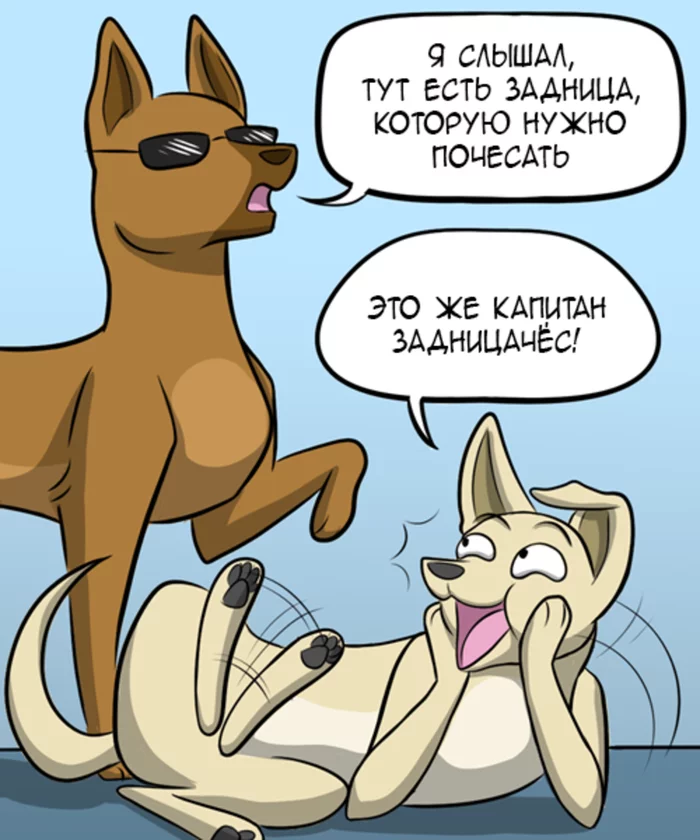 Блохи Комиксы, Гифка с предысторией, Kat Swenski, Собака, Блохи, Гифка, Длиннопост