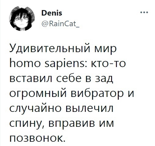 Анекдоты про кошек и котов