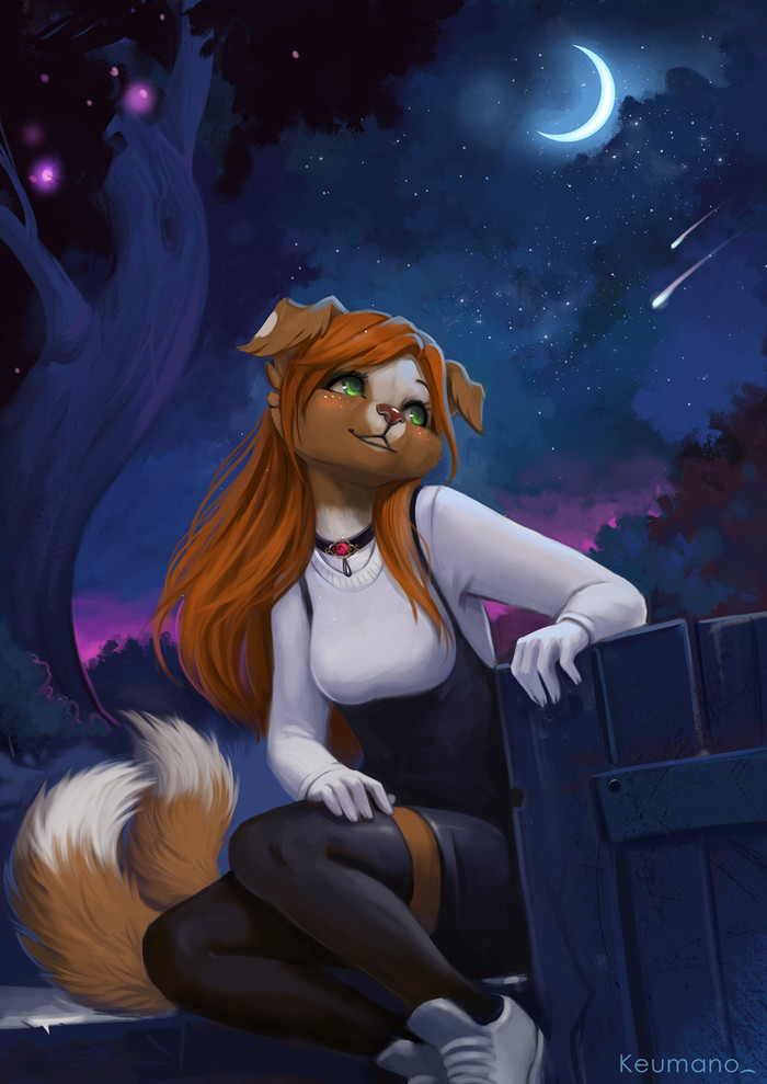 Падающие звёзды