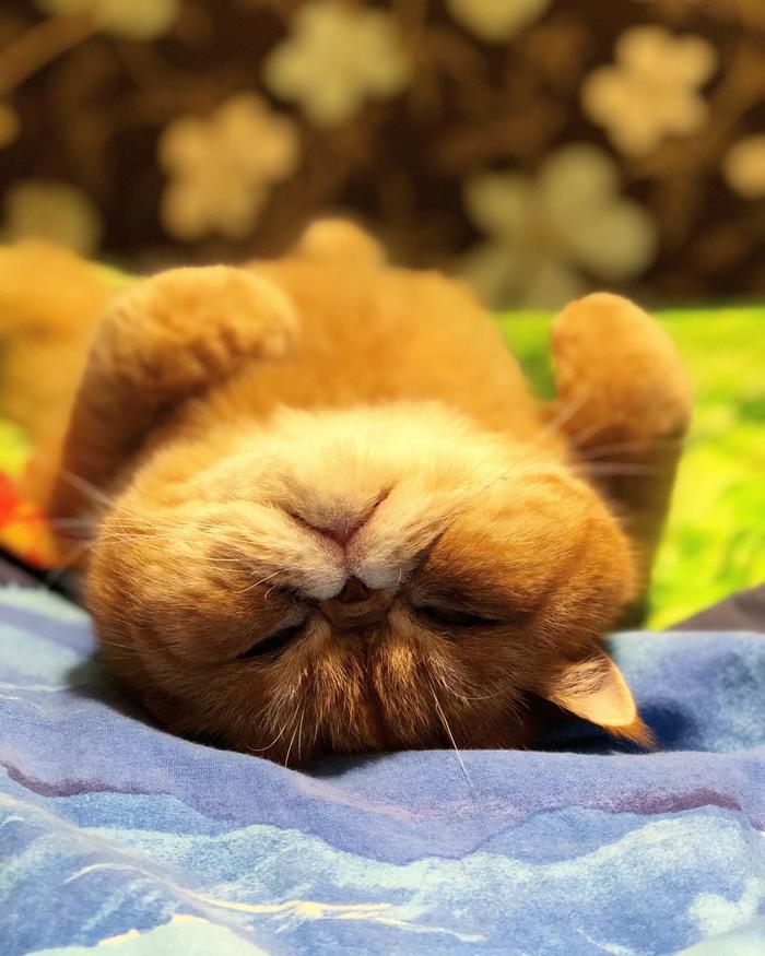 Chill out bro, chill out